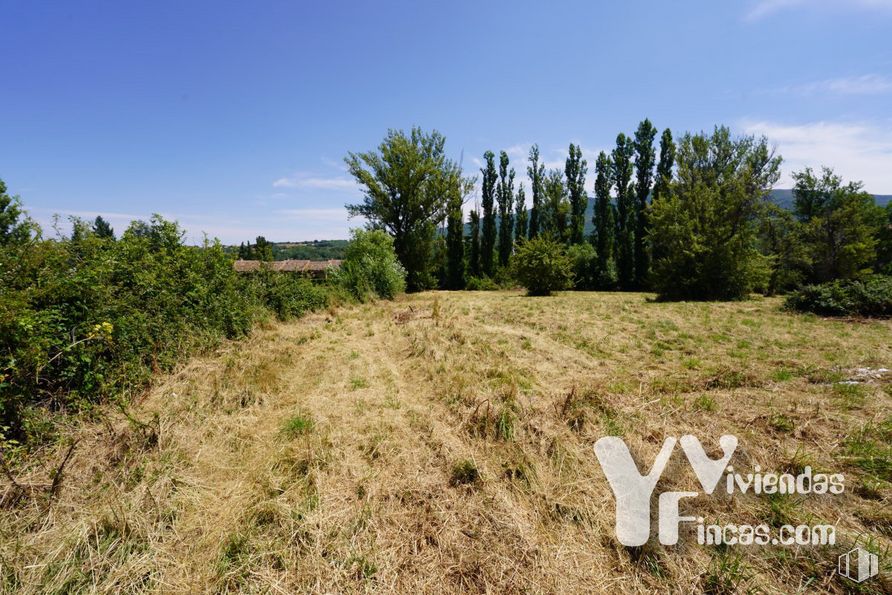 Land for sale at Calle Bajada Escorial, 1, Riaza, Segovia, 40500 with cloud, sky, plant, natural landscape, tree, plain, grass, grassland, shrub and landscape around