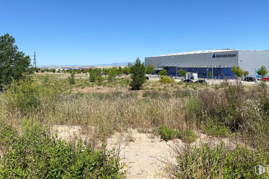 Land for sale at Calle Bronce, 54, Chiloeches, Guadalajara, 19169 with plant, sky, tree, land lot, natural landscape, grassland, landscape, plain, grass and building around