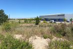 Land for sale at Calle Bronce, 54, Chiloeches, Guadalajara, 19169 with plant, sky, tree, land lot, natural landscape, grassland, landscape, plain, grass and building around