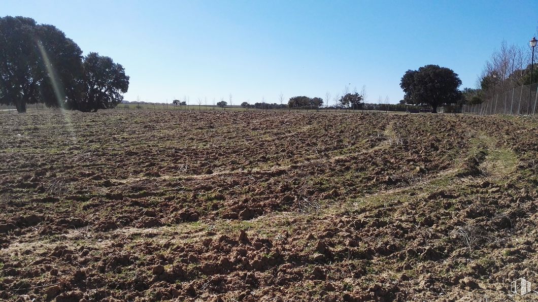 Suelo en venta en Camino de la Zarzuela, 65, Villaviciosa de Odón, Madrid, 28670 con marrón, cielo, planta, comunidad de plantas, árbol, paisaje natural, agricultura, cobertura del suelo, hierba y paisaje alrededor