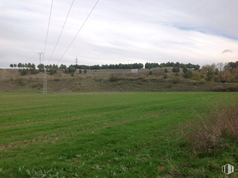 Suelo en alquiler y venta en Carretera M-206, Loeches, Madrid, 28850 con nube, cielo, planta, árbol, paisaje natural, línea eléctrica aérea, hierba, electricidad, agricultura y paisaje alrededor