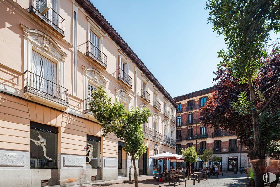 Oficina en alquiler en Calle Pez, 38, Centro, Madrid, 28004 con edificio, ventana, cielo, planta, infraestructura, casa, árbol, superficie de carretera, diseño urbano y barrio alrededor