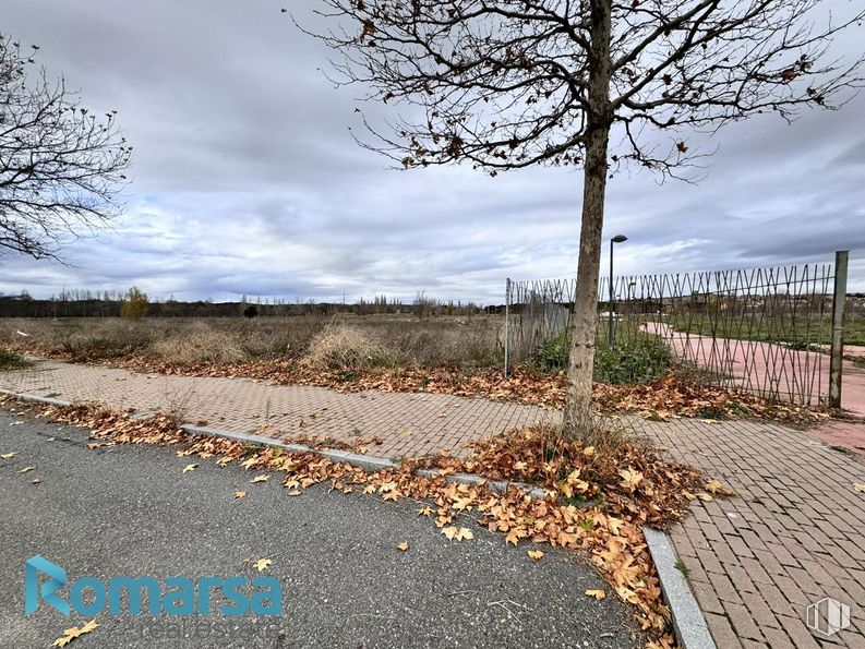 Suelo en venta en Calle Hoyo de Pinares, Ávila, 05002 con cielo, nube, paisaje natural, planta, superficie de la carretera, madera, rama, asfalto, lote de terreno y vegetación alrededor