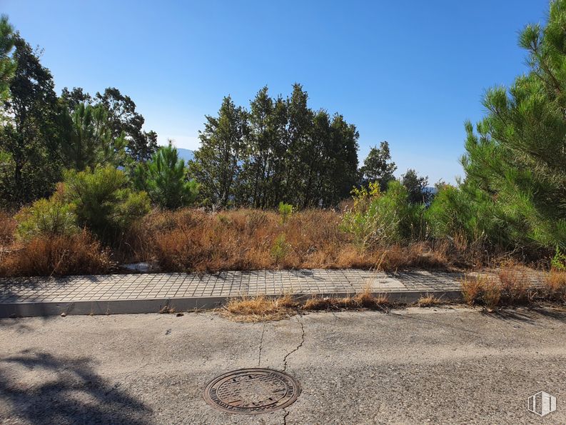 Land for sale at Calle Adobes, s/n, Piedralaves, Ávila, 05440 with hat, plant, sky, ecoregion, natural landscape, land lot, road surface, tree, cloud and landscape around