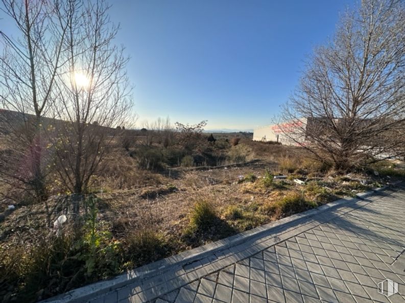 Suelo en venta en Polígono El Tejar, 63 , Majadahonda, Madrid, 28220 con mañana, matorral, fenómeno meteorológico, cúmulo, coníferas, noche, sendero y chaparral alrededor