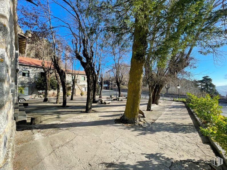 Retail for sale at Zona Guadarrama, Guadarrama, Madrid, 28440 with tree, branch, road surface, public space, street, shade, trunk, sunlight, woody plant and concrete around