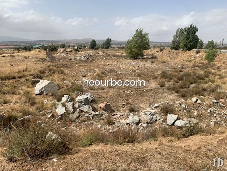 Land for sale at Calle Albacete, Ávila, 05004 with plant, animal, cloud, sky, plant community, ecoregion, natural landscape, bedrock, tree and land lot around