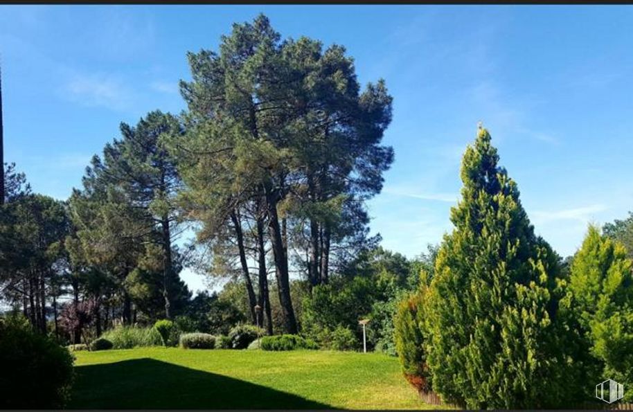 Retail for sale at Cuatro Postes, Arenas de San Pedro, Ávila, 05400 with plant, cloud, sky, natural landscape, tree, land lot, evergreen, grass, woody plant and landscape around