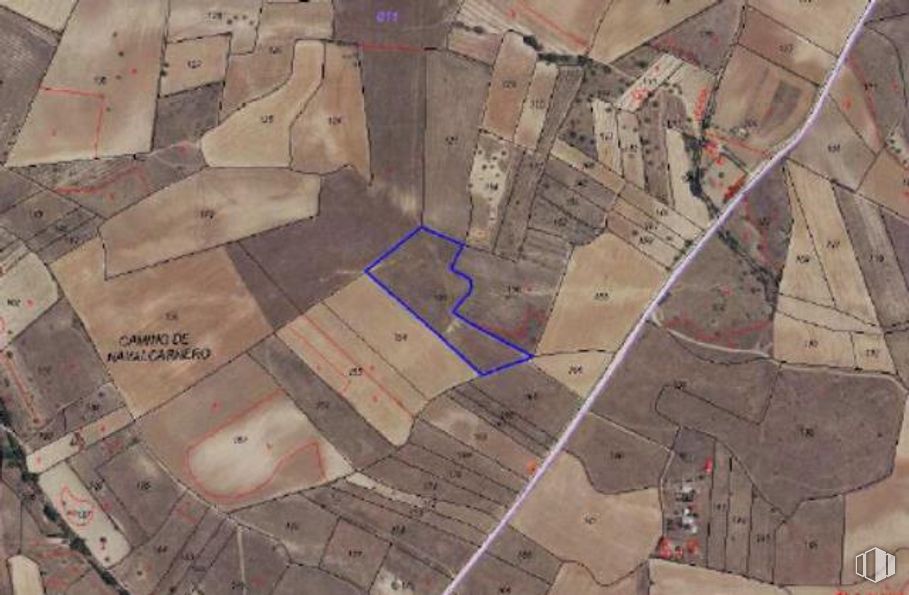 Land for sale at Camino de Navalcarnero, Casarrubios del Monte, Toledo, 45950 with animal, brown, ecoregion, wood, map, world, land lot, urban design, floor and landscape around