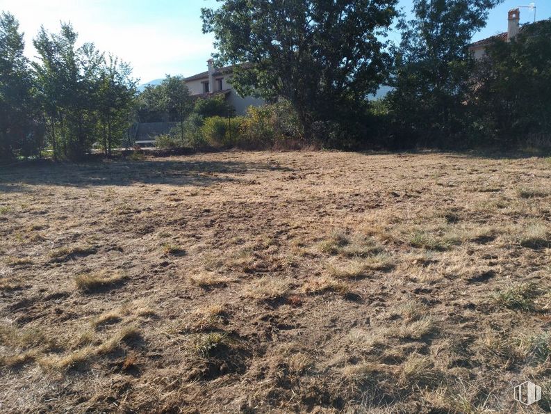 Land for sale at Camino Pelayos, Sotosalbos, Segovia, 40170 with sky, plant, plant community, natural landscape, tree, cloud, agriculture, plain, grassland and grass around