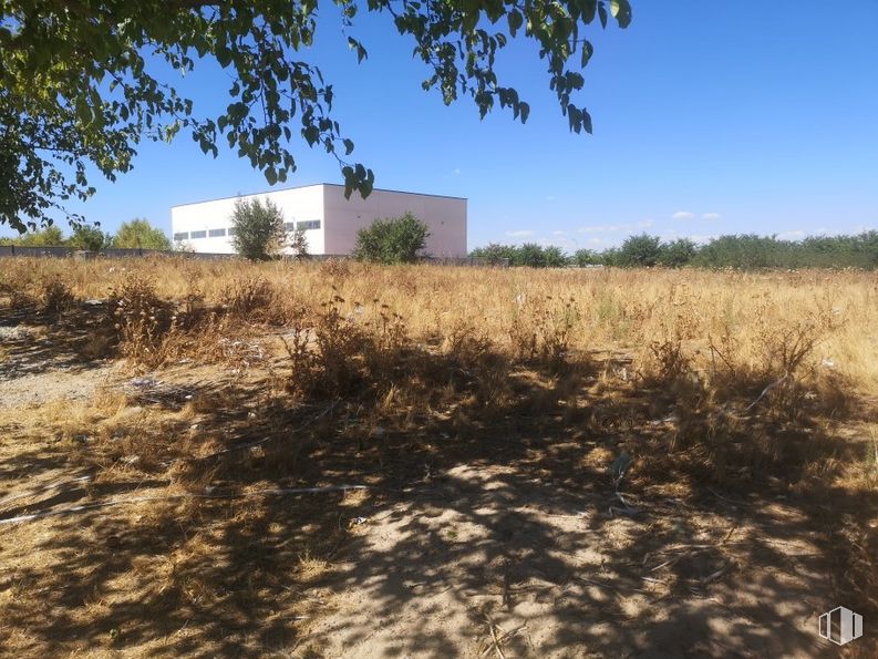 Suelo en venta en Calle Montes de Toledo, Illescas, Toledo, 45200 con edificio, planta, cielo, paisaje natural, árbol, lote de tierra, pastizal, llanura, hierba y paisaje alrededor