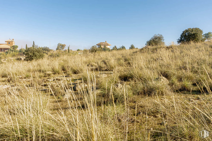 Land for sale at Urbanización La Pozuela, Toledo, 45004 with sky, plant, plant community, natural environment, natural landscape, landscape, tree, grassland, plain and grass around