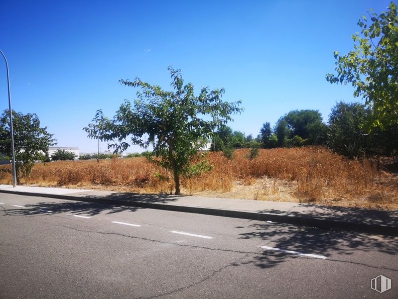 Suelo en venta en Calle Montes de Toledo, Illescas, Toledo, 45200 con cielo, planta, nube, comunidad vegetal, ecorregión, paisaje natural, rama, superficie de la carretera, asfalto y lote de terreno alrededor