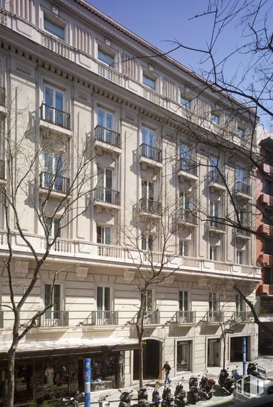 Oficina en alquiler en Calle Hermosilla, 11, Salamanca, Madrid, 28001 con ventana, edificio, durante el día, blanco, cielo, planta, árbol, diseño urbano, condominio y bloque de pisos alrededor