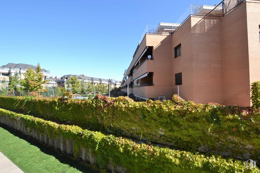 Oficina en venta en Rozas Nova , Calle Castillo de Fuensaldaña, 4, Las Rozas de Madrid, Madrid, 28230 con edificio, casa, planta, ventana, cielo, vegetación, diseño urbano, césped, barrio residencial, vecindario y cobertura alrededor