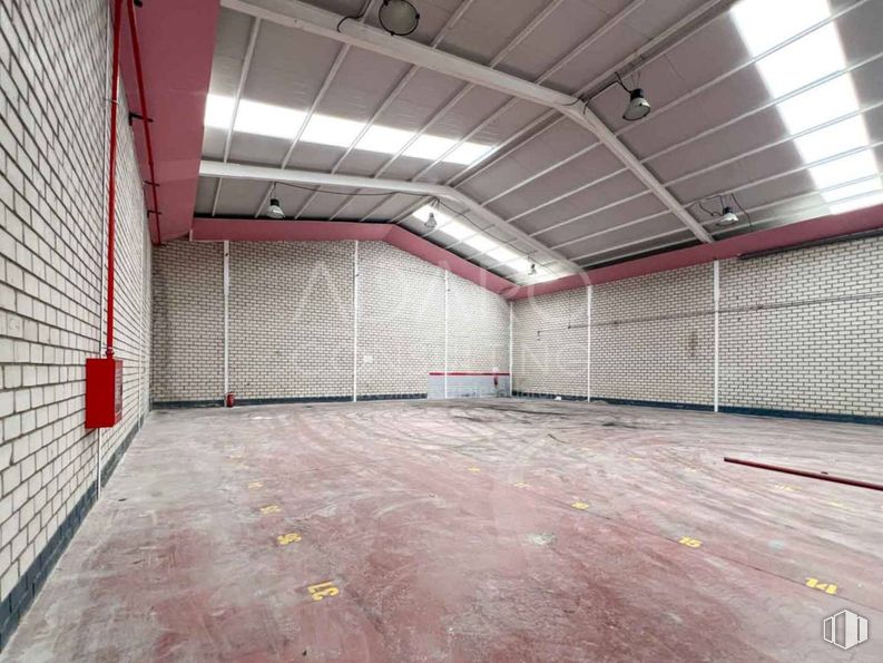 Nave en alquiler en Zona industrial, Coslada, Madrid, 28820 con pabellón, malla, suelo, suelos, red, material compuesto, techo, edificio, recinto deportivo y hall alrededor