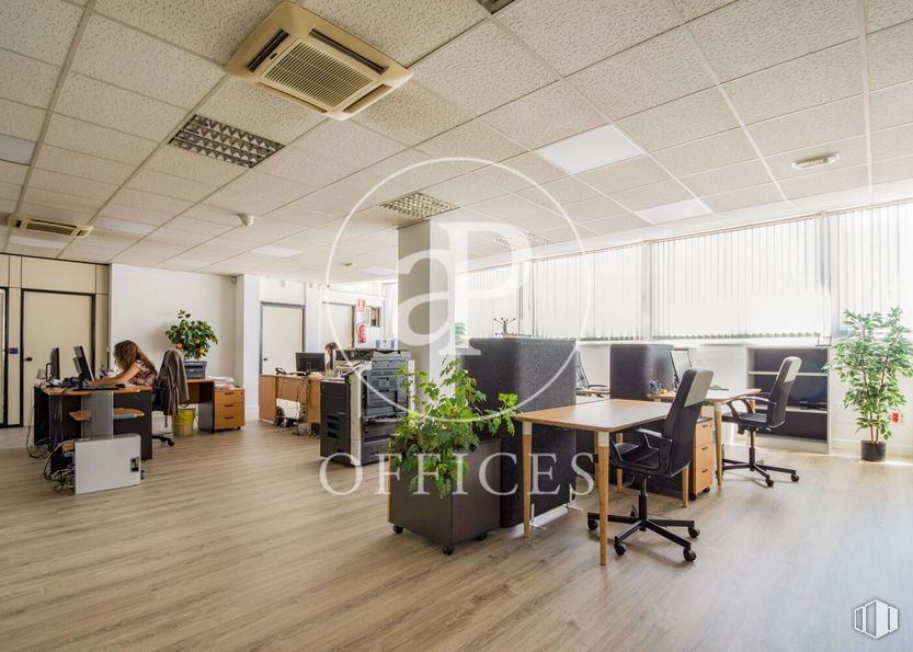 Oficina en venta en Zona Hortaleza, Hortaleza, Madrid, 28043 con planta de interior, silla, mesa, planta, mueble, edificio, ventana, pavimento, escritorio y piso alrededor