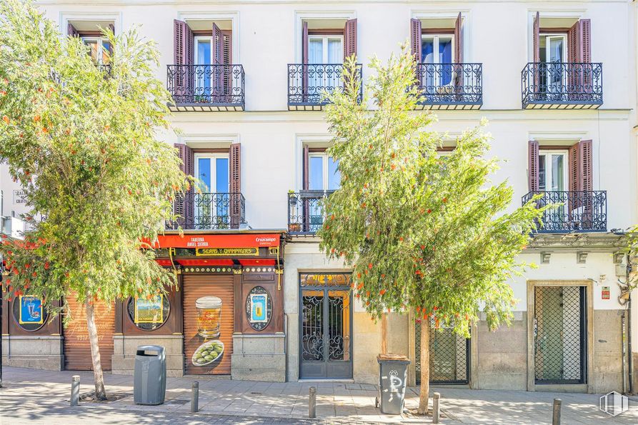 Retail for rent at Calle Gravina, Centro, Madrid, 28004 with window, daytime, property, building, fixture, plant, door, urban design, neighbourhood and facade around