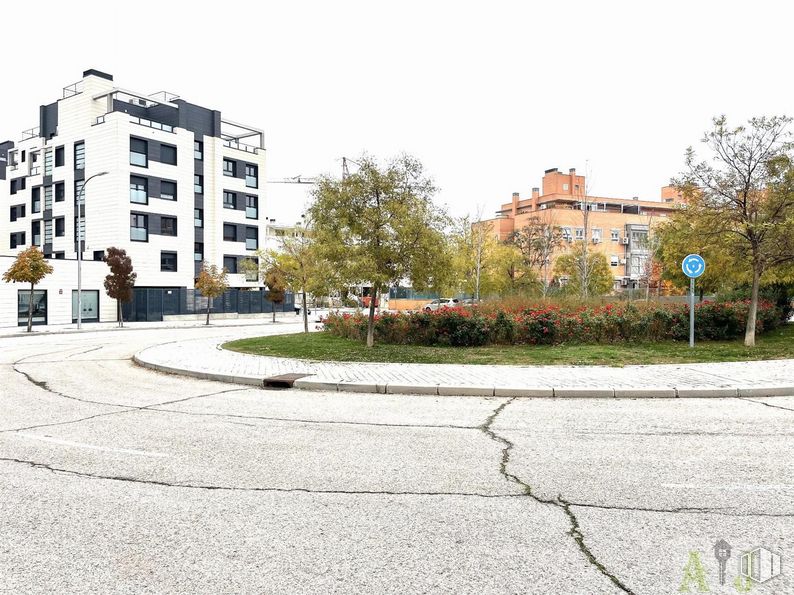 Local en alquiler en Zona Timón, Barajas, Madrid, 28042 con edificio, cielo, planta, propiedad, ventana, superficie de la carretera, asfalto, árbol, luz de la calle y lote de terreno alrededor