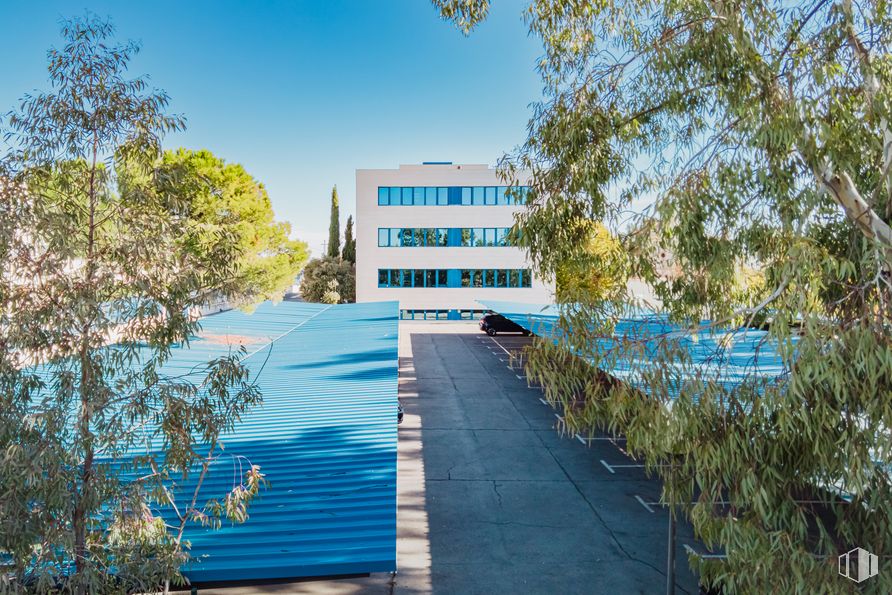 Oficina en alquiler en Edificio Cimaga, Calle Sierra de Cazorla, 1, Las Rozas de Madrid, Madrid, 28290 con edificio, planta, cielo, árbol, diseño urbano, superficie de la carretera, inmobiliario, ciudad, ocio y fachada alrededor