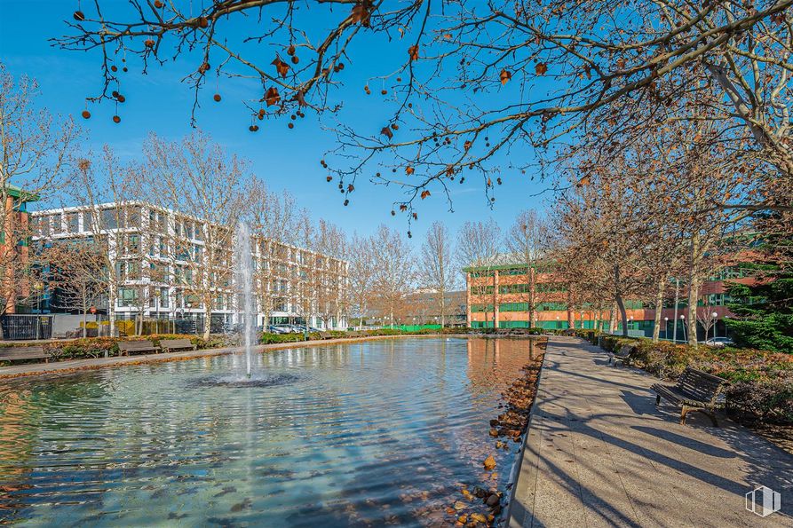 Oficina en alquiler en Camino Cerro de los Gamos, 1, Pozuelo de Alarcón, Madrid, 28224 con mesa de trabajo, edificio, agua, cielo, planta, paisaje natural, rama, masa de agua, curso de agua y banco alrededor