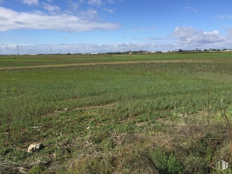 Land for sale at Zona Partida La Vereda de la Torrecilla, Getafe, Madrid, 28906 with cloud, sky, natural landscape, plant, grass, agriculture, horizon, grassland, landscape and cumulus around