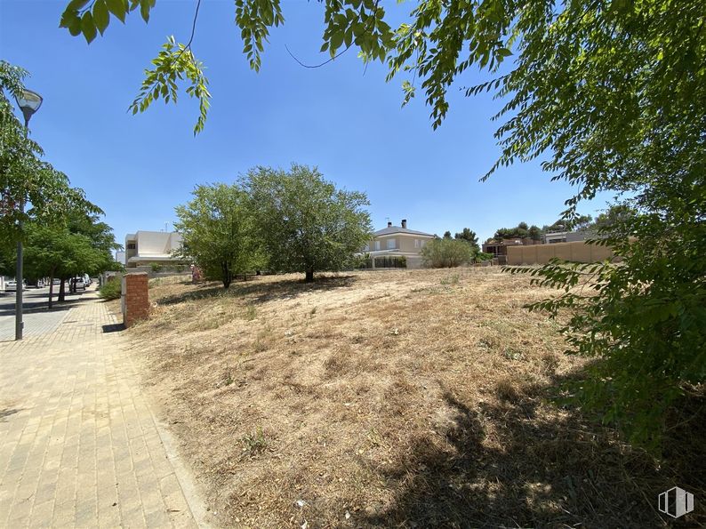 Suelo en venta en Calle Isla de Córcega, Pozuelo de Alarcón, Madrid, 28224 con casa, planta, cielo, comunidad vegetal, árbol, paisaje natural, superficie de la carretera, lote de terreno, asfalto y sombra alrededor