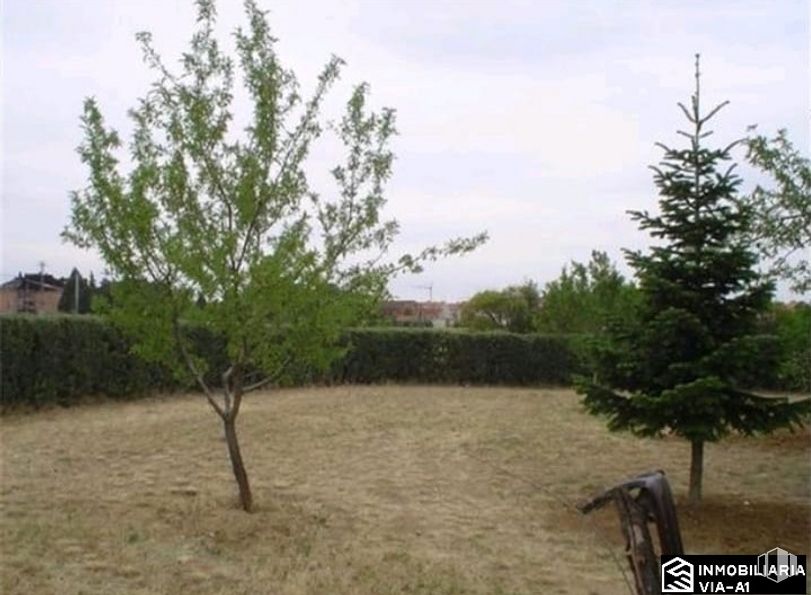 Suelo en venta en Camino Valdetorres, 24, Fuente el Saz de Jarama, Madrid, 28140 con nube, planta, cielo, paisaje natural, árbol, hierba, llanura, perennifolio, pastizal y arbusto alrededor