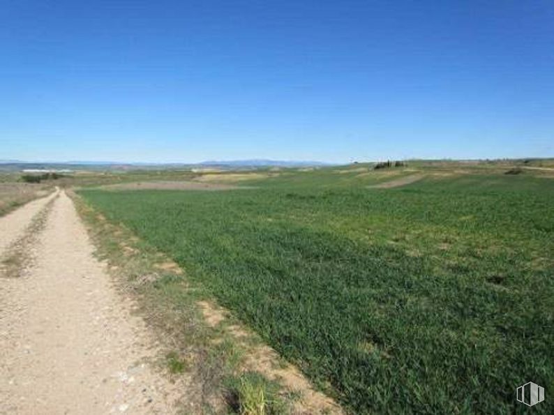 Suelo en venta en Calle Sector urbanizable, AR, Tórtola de Henares, Guadalajara, 19198 con cielo, paisaje natural, planta, hierba, agricultura, horizonte, pastizal, prado, paisaje y pradera alrededor