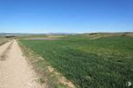 Land for sale at Calle Sector urbanizable, AR, Tórtola de Henares, Guadalajara, 19198 with sky, natural landscape, plant, grass, agriculture, horizon, grassland, meadow, landscape and prairie around