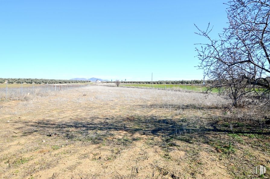 Land for sale at Zona Camino de Jumela, Gálvez, Toledo, 45164 with sky, plant, natural landscape, tree, grassland, grass, road, horizon, landscape and prairie around