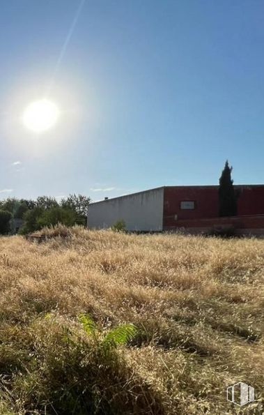 Land for sale at Paseo Santa Ana, Campos del Paraíso, Cuenca, 16555 with sky, plant, ecoregion, natural landscape, land lot, sunlight, grass, plain, landscape and horizon around