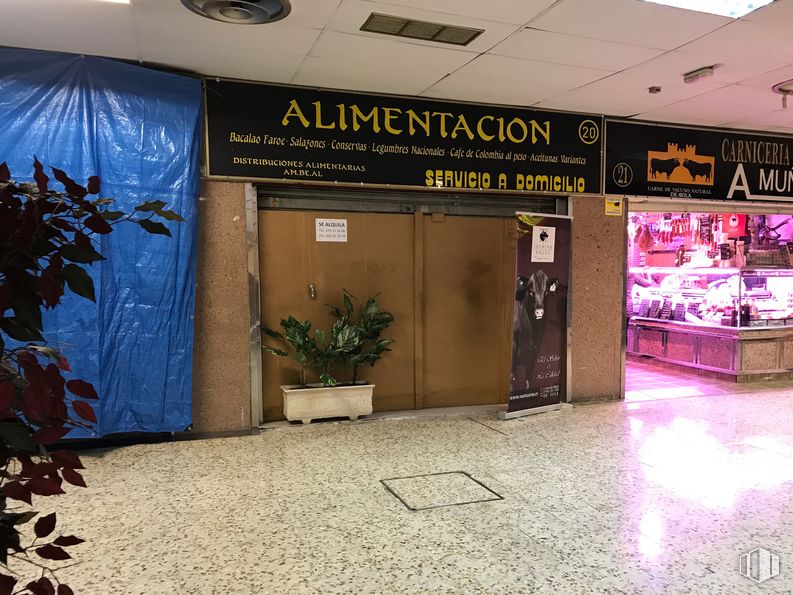 Local en alquiler y venta en  Galería de Alimentación Reina Mercedes, Pozuelo de Alarcón, Madrid, 28223 con planta de interior, propiedad, planta, edificio, diseño de interiores, piso, suelo, bienes raíces, maceta y accesorio alrededor