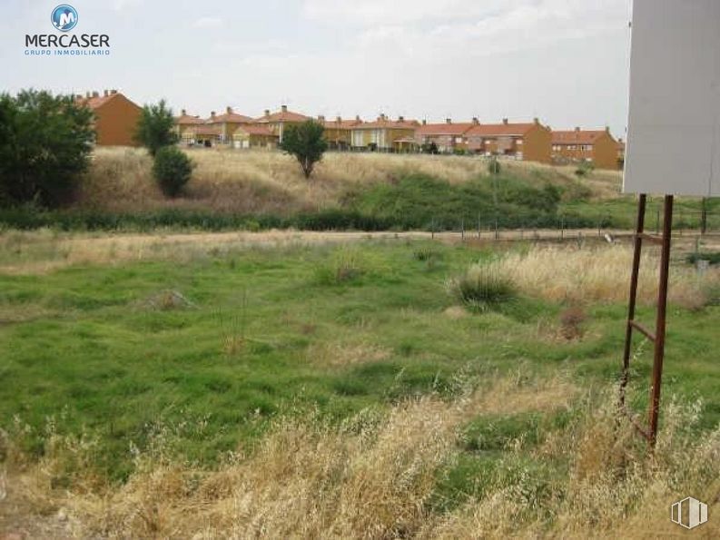 Land for sale at Calle Fuente, Torrejón del Rey, Guadalajara, 19174 with plant, sky, property, plant community, cloud, natural environment, natural landscape, land lot, vegetation and grass around