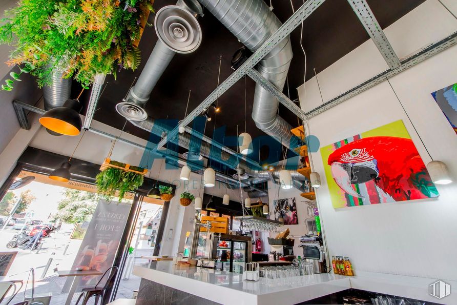 Retail for sale & for rent at Calle Barrilero, Retiro, Madrid, 28007 with interior design, restaurant, light fixture and houseplant around