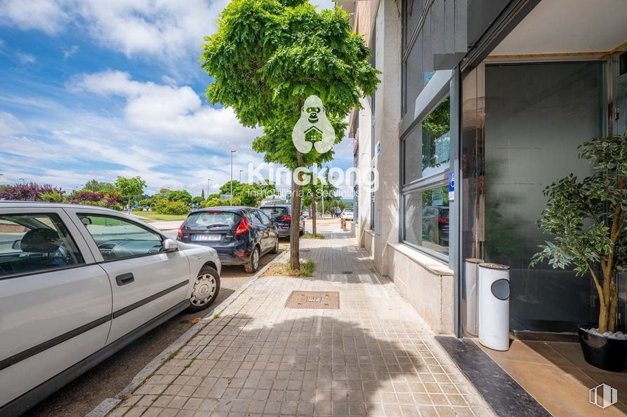 Retail for sale at Zona Carrefour Ávila, Ávila, 28005 with car, tire, houseplant, plant, cloud, sky, wheel, vehicle, flowerpot and automotive lighting around