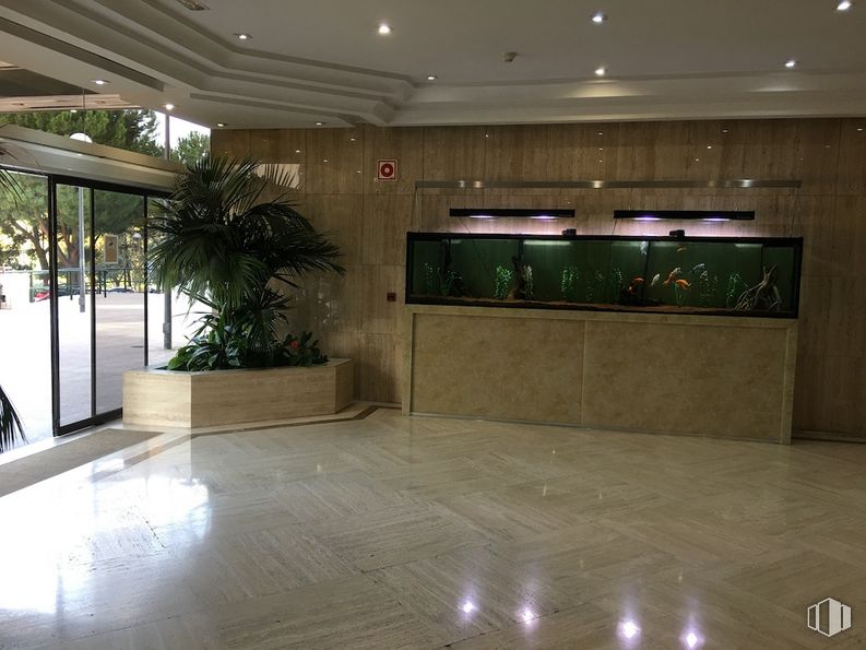 Office for rent at Edificio Magalar, Calle Juan Esplandiú, 15, Retiro, Madrid, 28007 with plant, flowerpot, building, floor, flooring, composite material, ceiling, fixture, tints and shades, tile flooring and house around