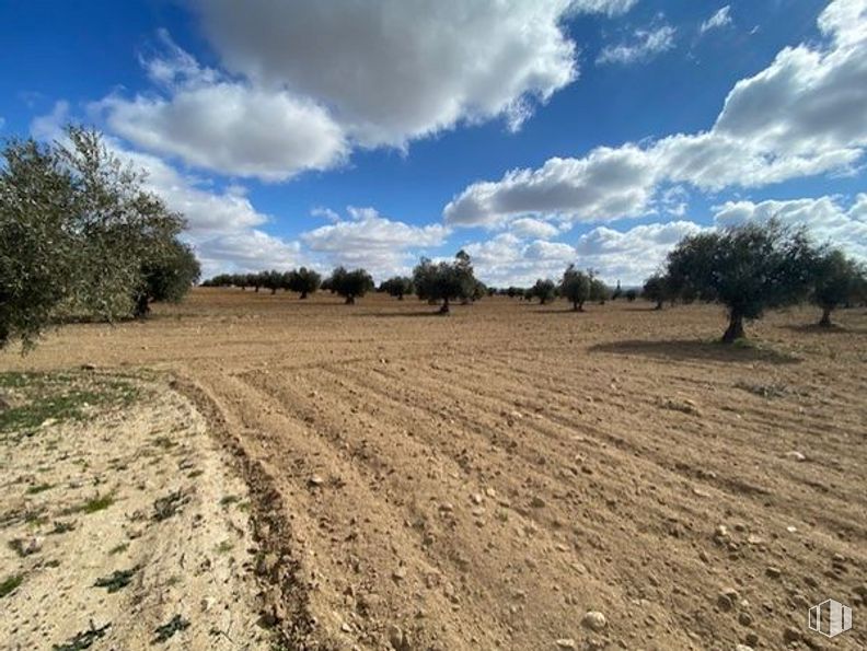 Land for sale at Carretera Sonseca - Casalgordo, Sonseca, Toledo, 45100 with cloud, sky, plant, tree, natural landscape, land lot, agriculture, plain, cumulus and grassland around