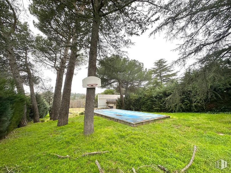 Suelo en venta en Calle Tablada, Alpedrete, Madrid, 28430 con planta, comunidad vegetal, árbol, paisaje natural, cielo, lote de terreno, sombra, hierba, cubierta vegetal y pradera alrededor