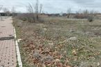 Land for sale at Calle Sotillo de la Adrada, s/n, Ávila, 05008 with cloud, plant, sky, property, plant community, natural landscape, land lot, tree, grass and groundcover around