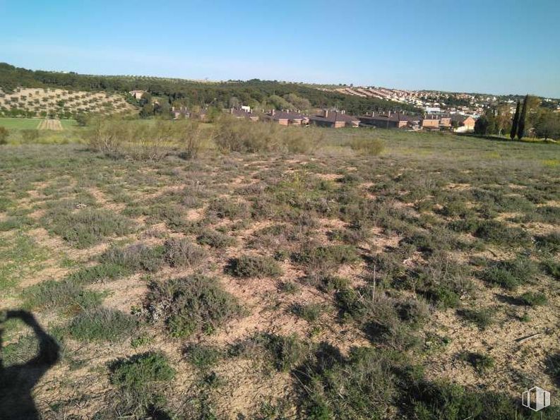 Land for sale at Calle Ciudad Real, S/N, Bargas, Toledo, 45593 with plant, sky, plant community, tree, land lot, natural landscape, biome, grassland, grass and plain around