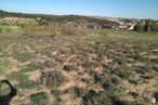 Land for sale at Calle Ciudad Real, S/N, Bargas, Toledo, 45593 with plant, sky, plant community, tree, land lot, natural landscape, biome, grassland, grass and plain around