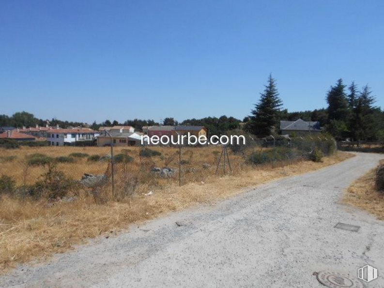 Land for sale at La Cañada, Herradón de Pinares, Ávila, 05294 with plant, sky, plant community, ecoregion, tree, natural landscape, land lot, grass, road surface and landscape around