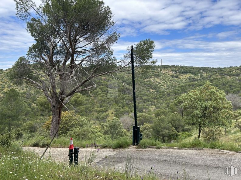 Suelo en venta en Calle Encina, Navas del Rey, Madrid, 28695 con nube, planta, cielo, paisaje natural, montaña, árbol, lote de terreno, hierba, paisaje y pradera alrededor