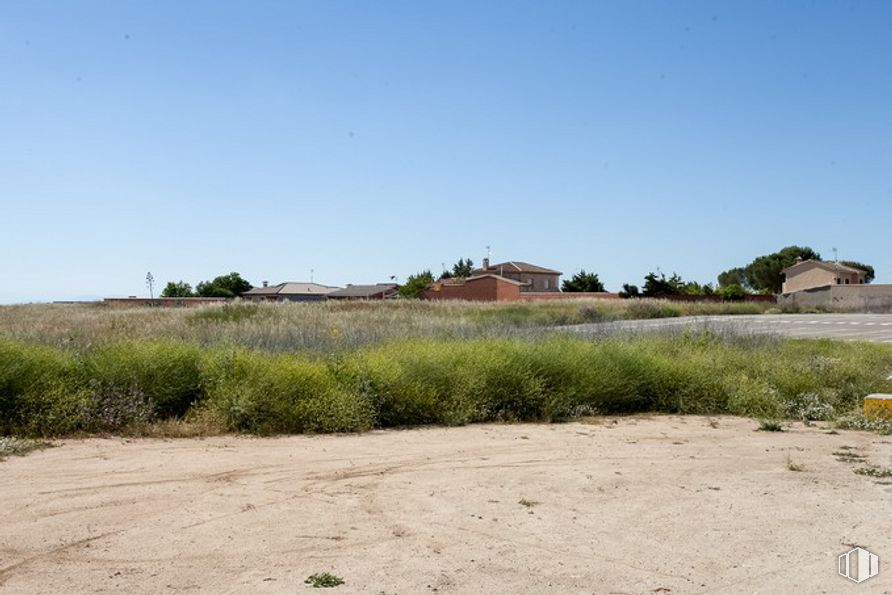 Suelo en venta en Camino Fuente Cordel, Argés, Toledo, 45122 con cielo, planta, comunidad de plantas, paisaje natural, terreno, paisaje, árbol, llanura, pastizal y hierba alrededor