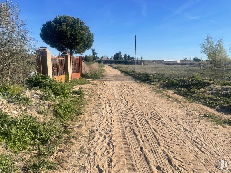 Land for sale at Camino de la Torre, Santa Cruz del Retamar, Toledo, 45513 with plant, sky, plant community, ecoregion, tree, natural environment, road surface, land lot, natural landscape and thoroughfare around