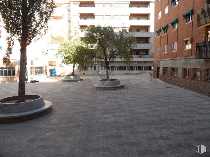 Local en alquiler en Calle Colón, Cuenca, 16002 con edificio, ventana, árbol, superficie de carretera, diseño urbano, asfalto, pared, barrio, carretera y tintes y matices alrededor