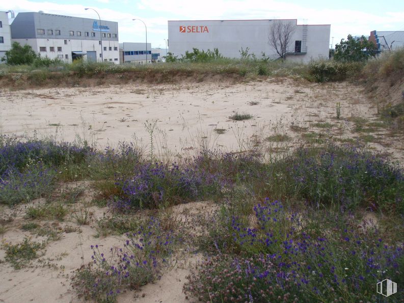 Suelo en venta en Calle Puerto Guadarrama, 5, Móstoles, Madrid, 28935 con edificio, planta, nube, propiedad, comunidad de plantas, cielo, ecorregión, ventana, entorno natural y paisaje natural alrededor