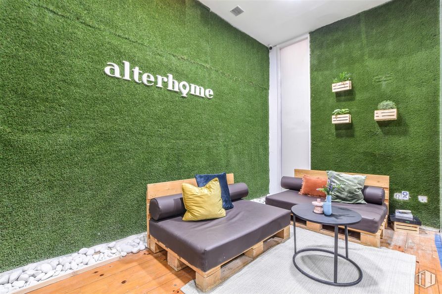 Office for rent at Calle Alfonso XII, 8, Retiro, Madrid, 28014 with throw pillow, pillow, couch, loveseat, houseplant and artificial turf around