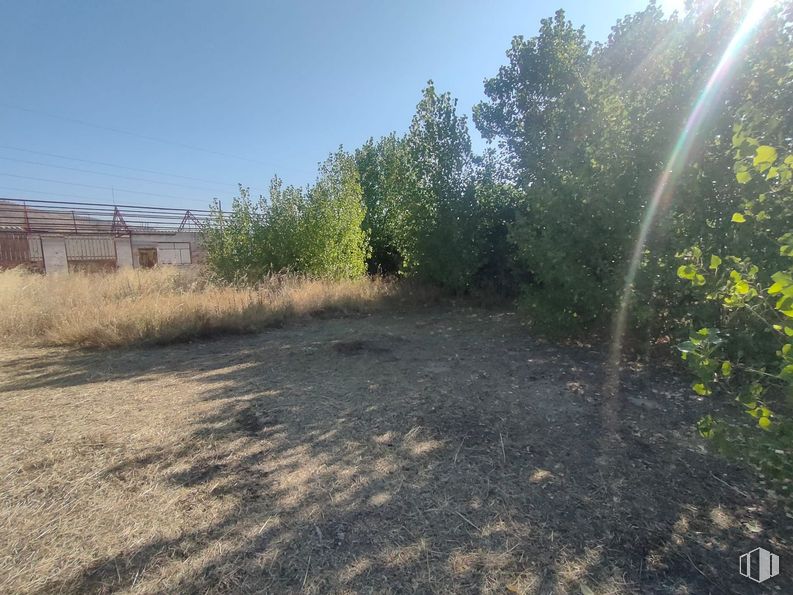 Land for sale at Calle Alberche, El Tiemblo, Ávila, 05270 with sky, plant, road surface, natural landscape, grass, road, landscape, tints and shades, asphalt and tree around